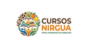 CursosNirgua Logo